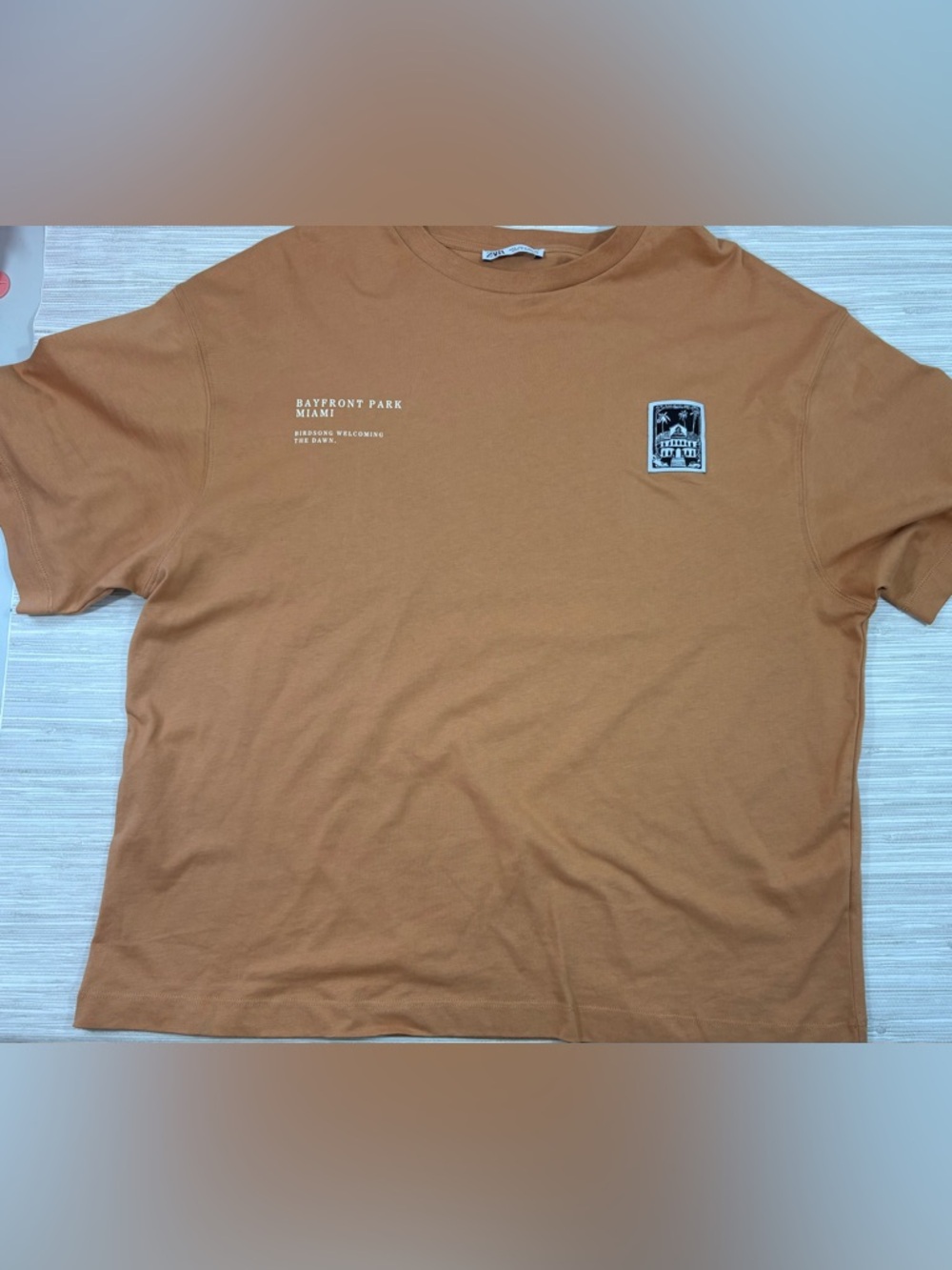 ZARA LARGE ✨ Men's Brown Crewneck Graphic T-Shirt EUC